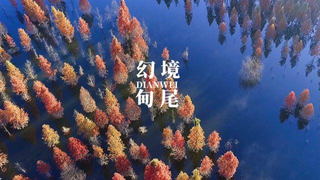 年画进万家 这场系列活动让年味渐浓