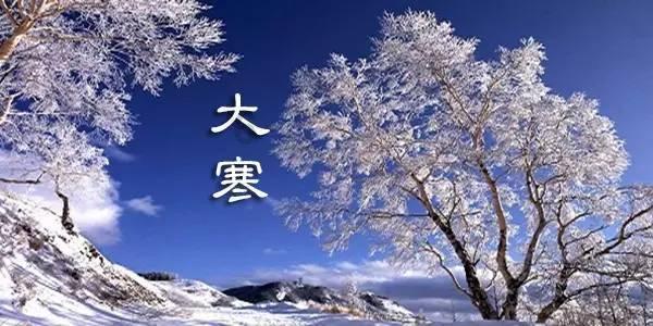 世界机器人大会亚洲盛会在上海举行