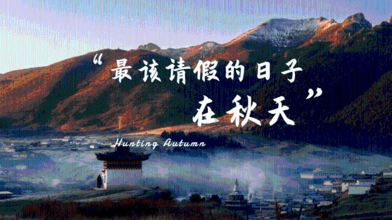 红色鹦鹉逃脱